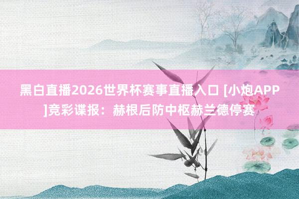 黑白直播2026世界杯赛事直播入口 [小炮APP]竞彩谍报：赫根后防中枢赫兰德停赛
