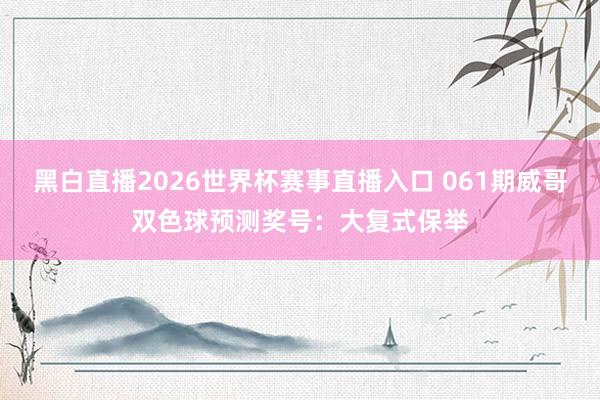 黑白直播2026世界杯赛事直播入口 061期威哥双色球预测奖号：大复式保举