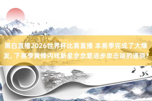 黑白直播2026世界杯比赛直播 本赛季完成了大爆发, 下赛季黄蜂内线新星念念要进步攻击端的通晓?