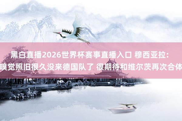 黑白直播2026世界杯赛事直播入口 穆西亚拉: 嗅觉照旧很久没来德国队了 很期待和维尔茨再次合体