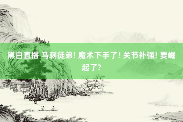 黑白直播 马刺徒弟! 魔术下手了! 关节补强! 要崛起了?