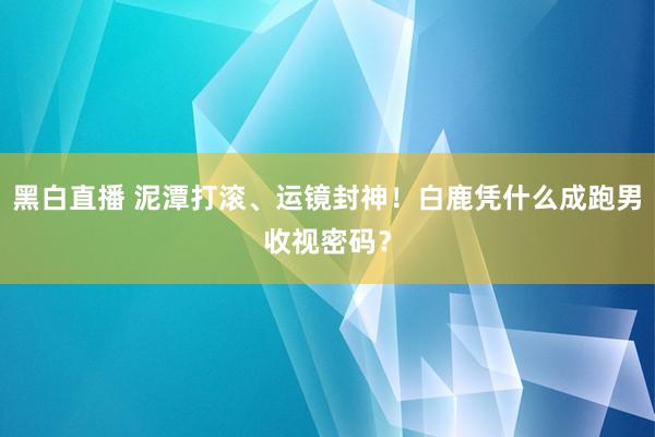 黑白直播 泥潭打滚、运镜封神！白鹿凭什么成跑男收视密码？