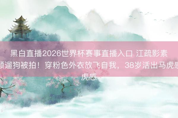 黑白直播2026世界杯赛事直播入口 江疏影素颜遛狗被拍！穿粉色外衣放飞自我，38岁活出马虎感