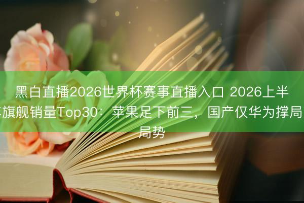 黑白直播2026世界杯赛事直播入口 2026上半年旗舰销量Top30：苹果足下前三，国产仅华为撑局势