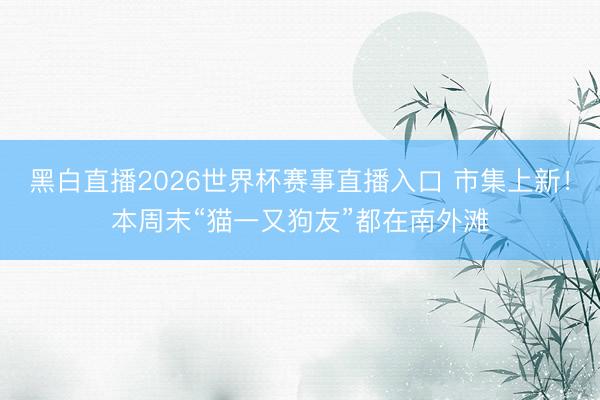 黑白直播2026世界杯赛事直播入口 市集上新！本周末“猫一又狗友”都在南外滩
