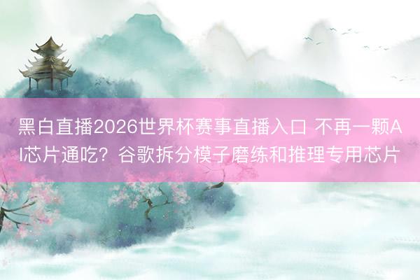 黑白直播2026世界杯赛事直播入口 不再一颗AI芯片通吃？谷歌拆分模子磨练和推理专用芯片