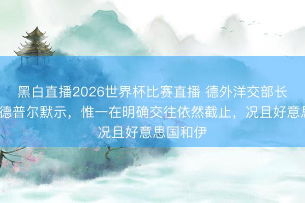 黑白直播2026世界杯比赛直播 德外洋交部长约翰·瓦德普尔默示，惟一在明确交往依然截止，况且好意思国和伊