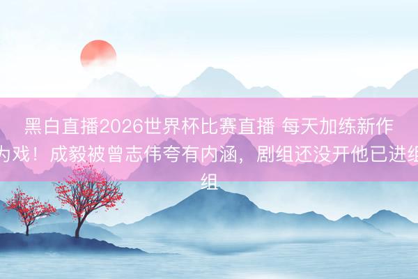 黑白直播2026世界杯比赛直播 每天加练新作为戏！成毅被曾志伟夸有内涵，剧组还没开他已进组