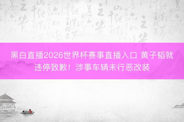 黑白直播2026世界杯赛事直播入口 黄子韬就违停致歉!涉事车辆未行恶改装