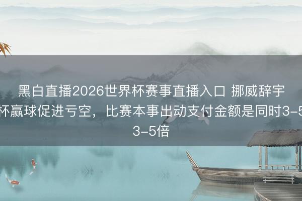 黑白直播2026世界杯赛事直播入口 挪威辞宇宙杯赢球促进亏空,比赛本事出动支付金额是同时3-5倍